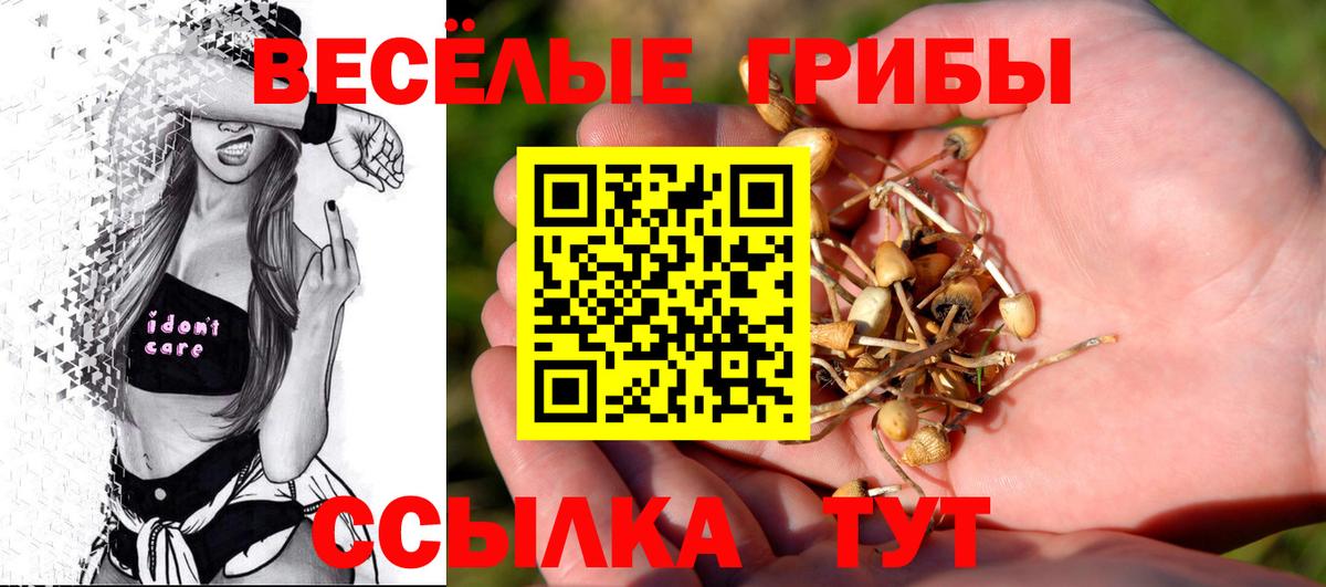 Галлюциногенные грибы мухоморы Михайловка