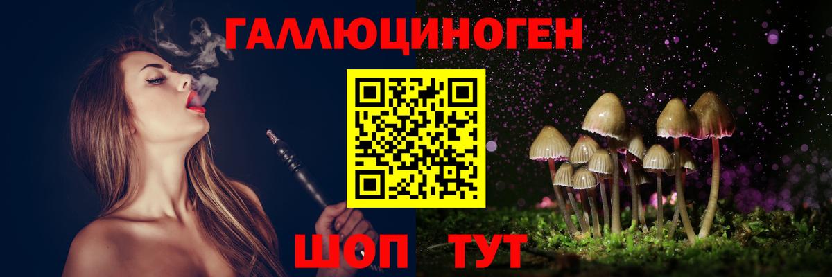 Михайловка  Галлюциногенные грибы прущие грибы  Вход с VPN 